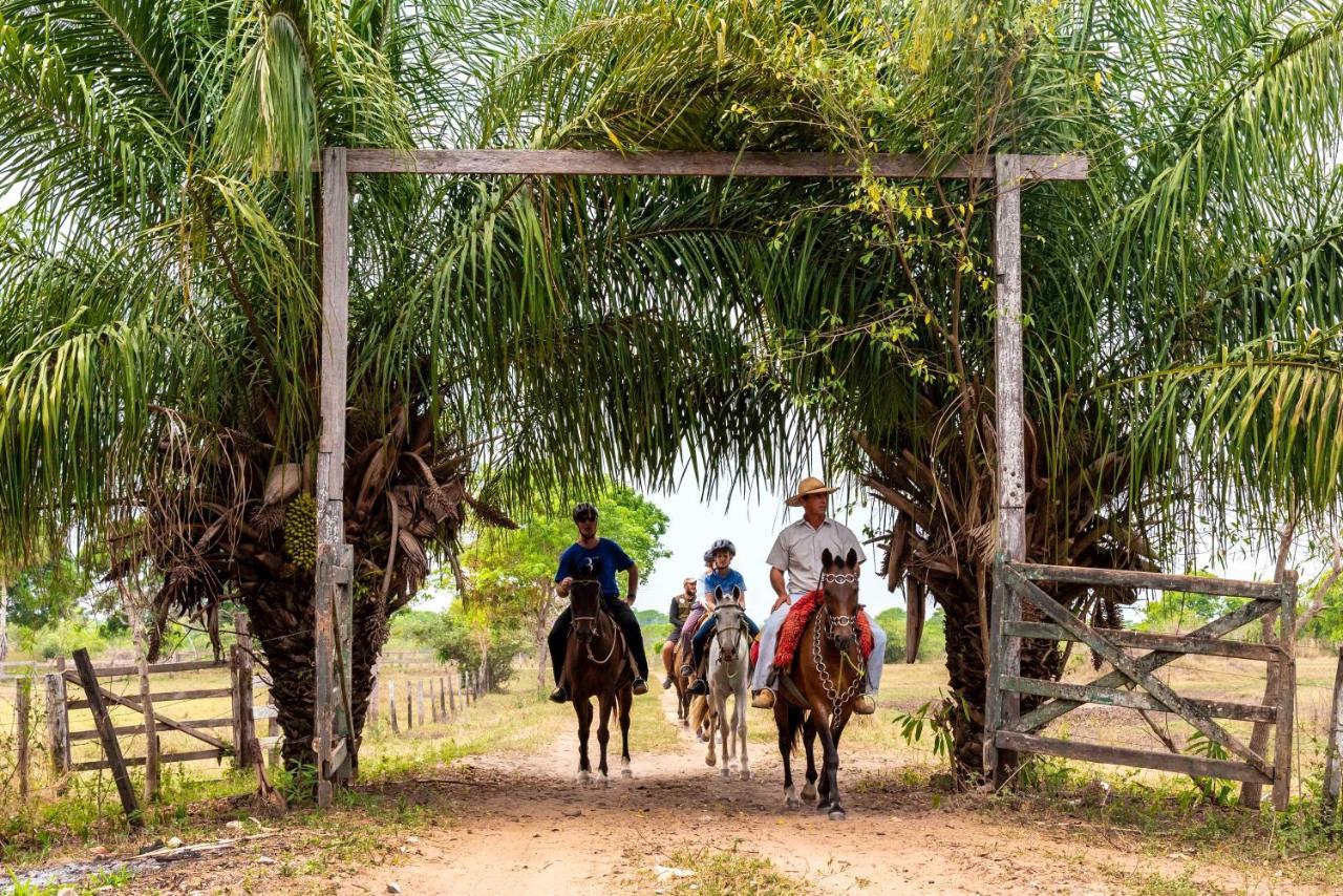 Pousada Fazenda Xaraes Todos os Santos Bagian luar foto