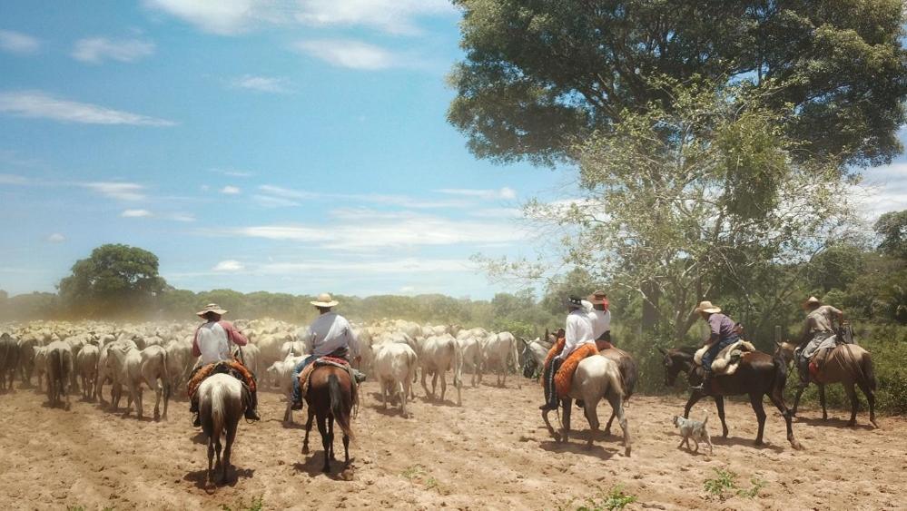 Pousada Fazenda Xaraes Todos os Santos Bagian luar foto