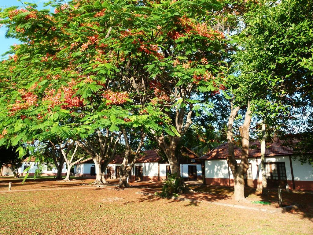 Pousada Fazenda Xaraes Todos os Santos Bagian luar foto