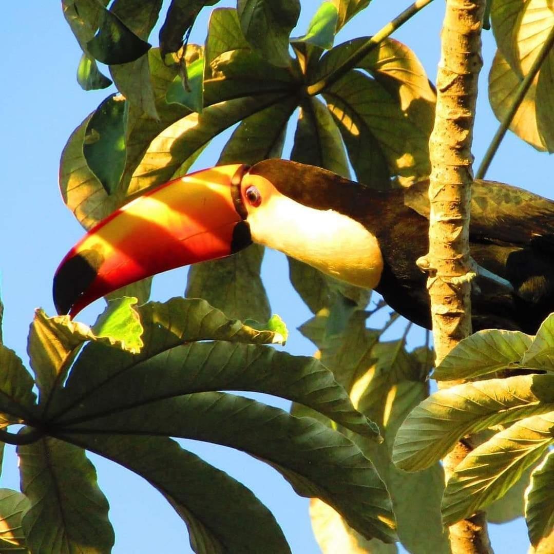 Pousada Fazenda Xaraes Todos os Santos Bagian luar foto