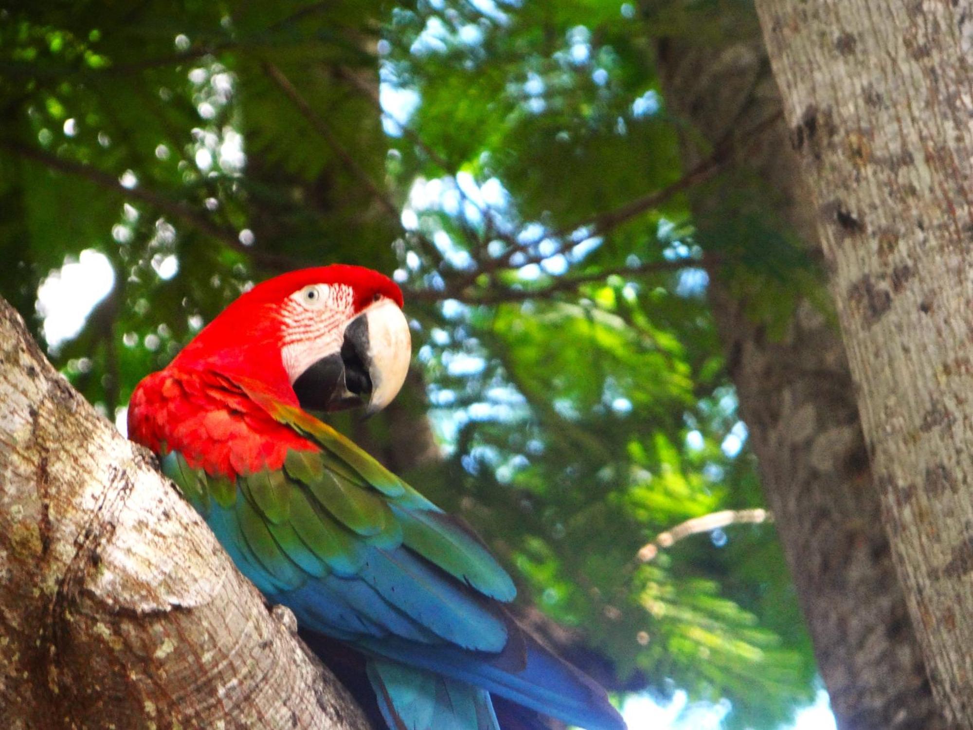 Pousada Fazenda Xaraes Todos os Santos Bagian luar foto