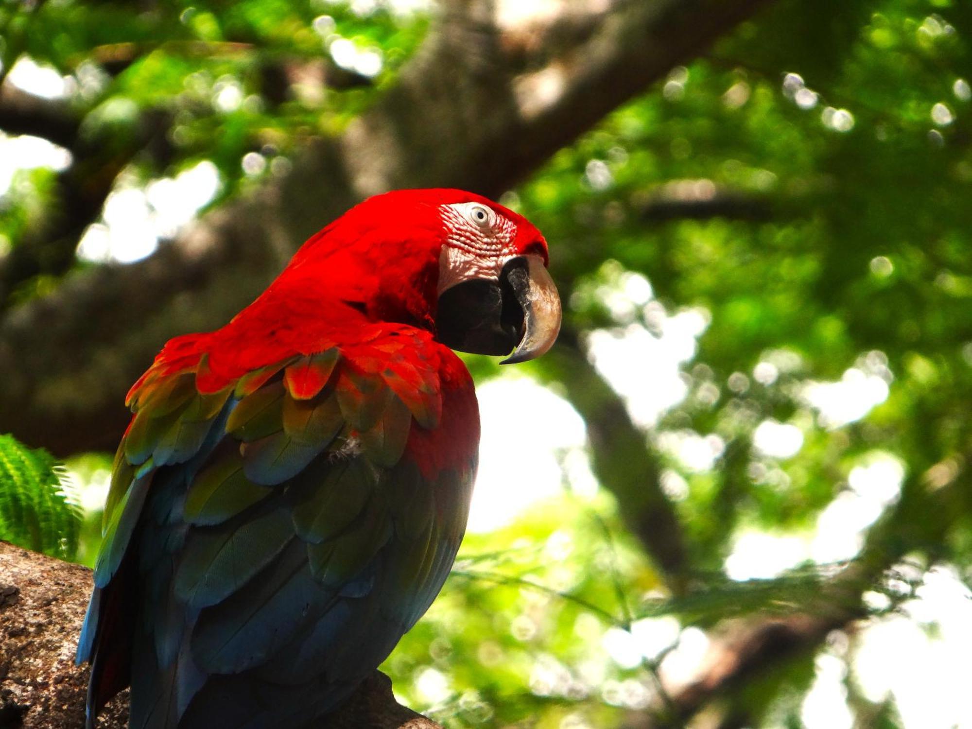Pousada Fazenda Xaraes Todos os Santos Bagian luar foto