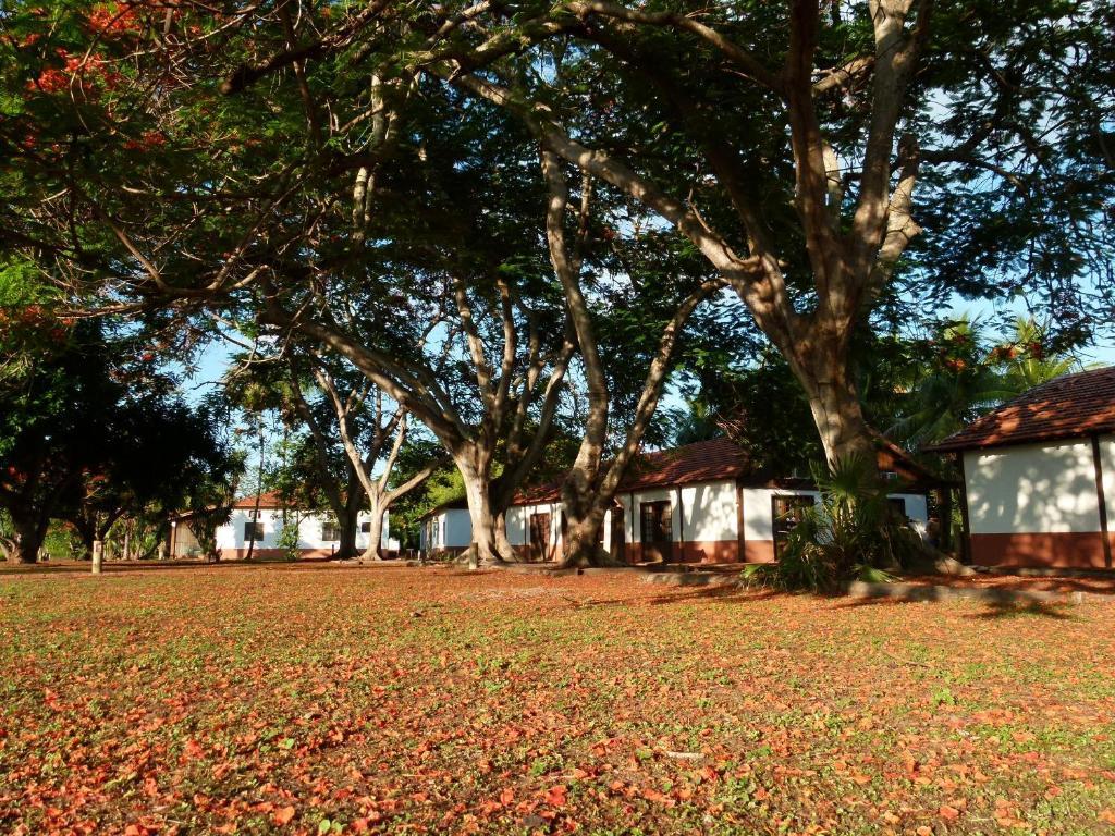 Pousada Fazenda Xaraes Todos os Santos Bagian luar foto