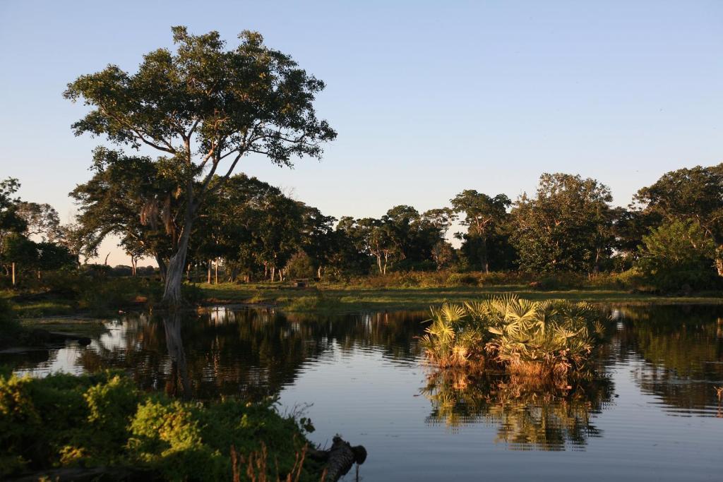 Pousada Fazenda Xaraes Todos os Santos Bagian luar foto